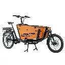 LEADER FOX CARGO-E Family ONE 2023 